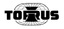 Torus